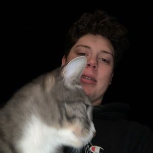 Meet your Posher, Jackson